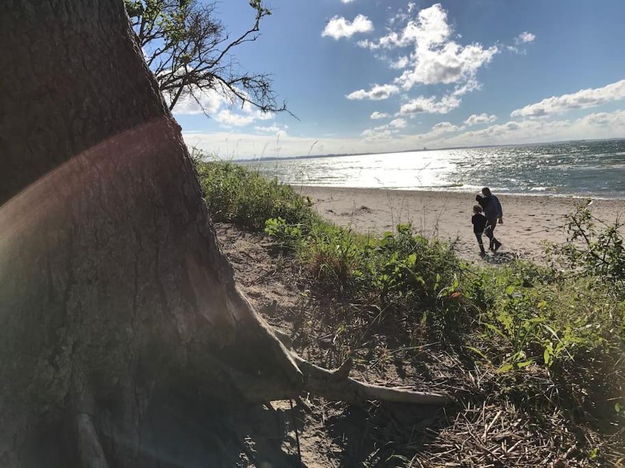 Groß Schwansee Stilvolles Reetdachhaus Coastline An Der Ostsee מראה חיצוני תמונה